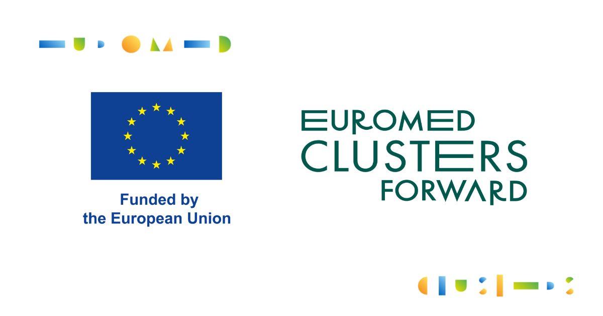 euromed cluster forward