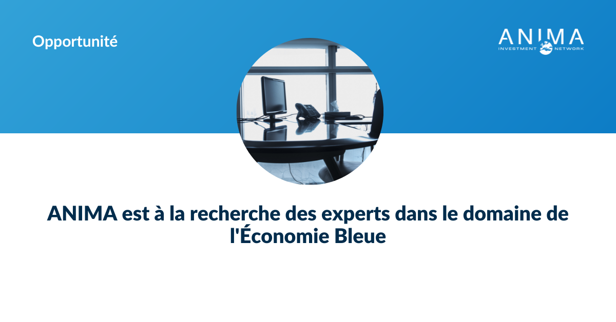 expert economie bleue