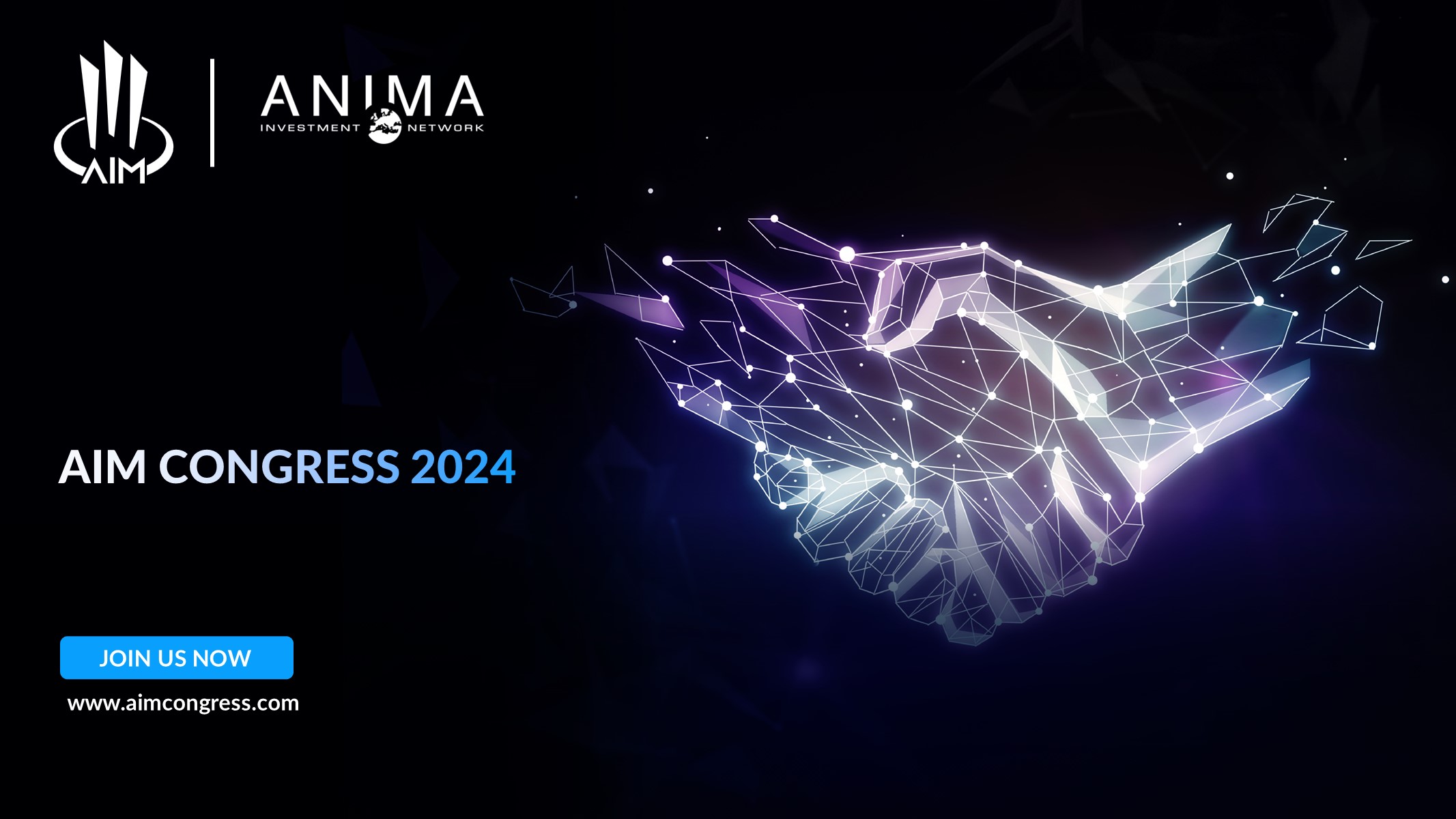 CONFERENCE & B2B AIM 2024 (Annual Investment Meeting) ANIMA