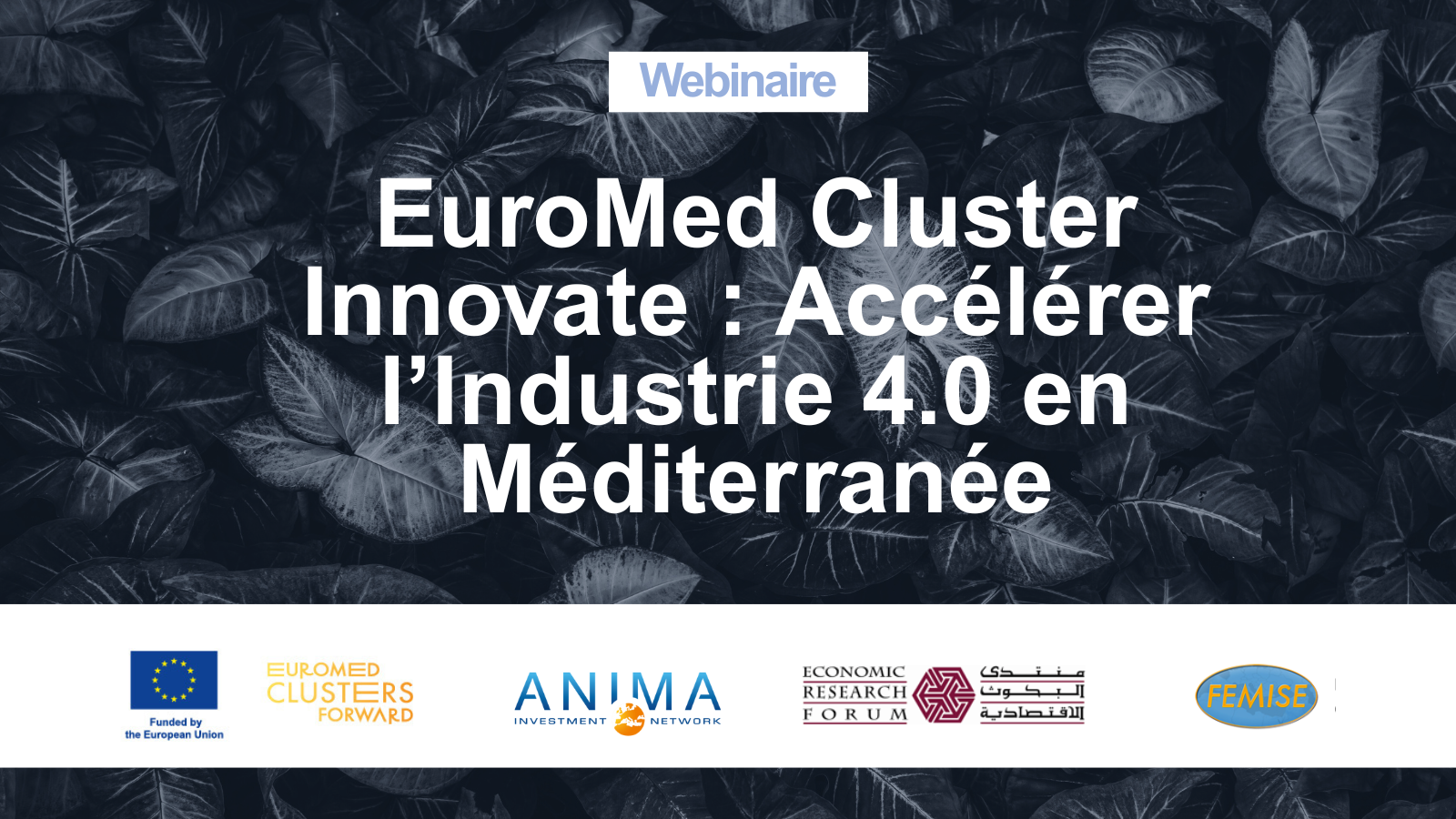 EuroMed-Cluster-Innovate-Industry4.0