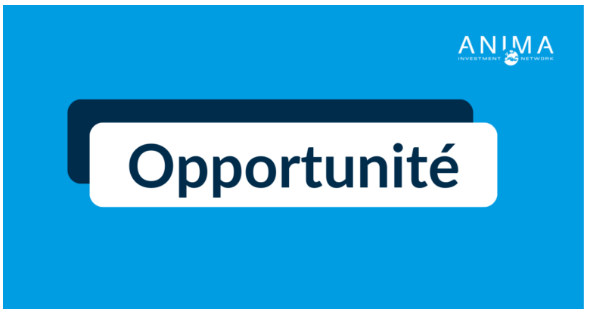 Appel-a-candidature-creation-de-site-web-supports-digitaux-de-Maroc-Clusters-euromed-clusters-forward
