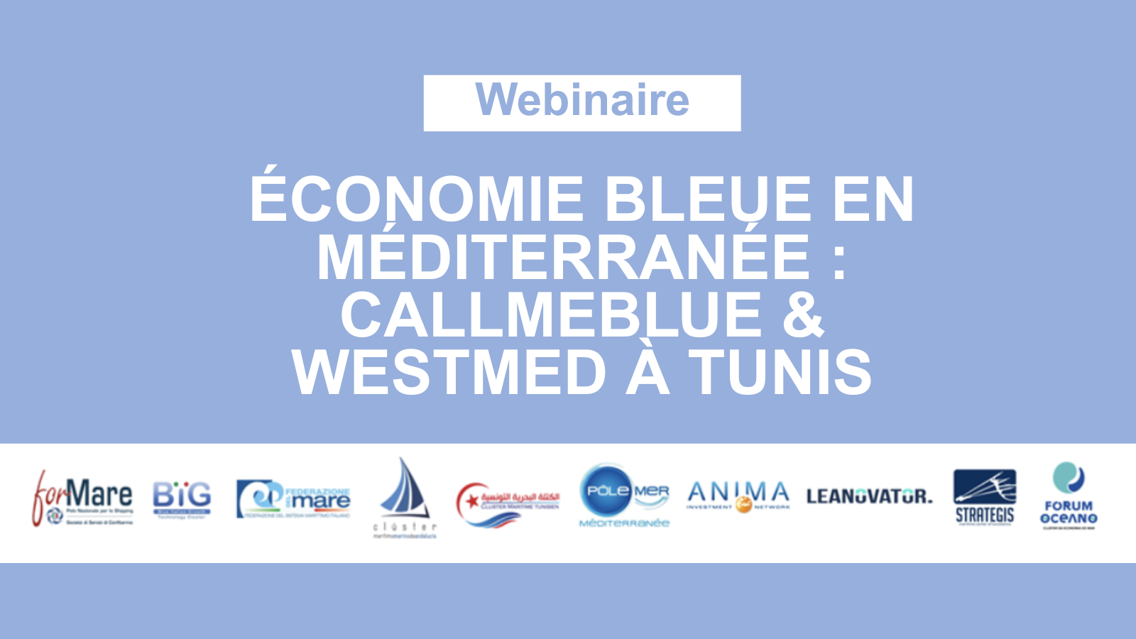 Dernier-Webinaire-CallMeBlue-2025-Anima-Investment-Network