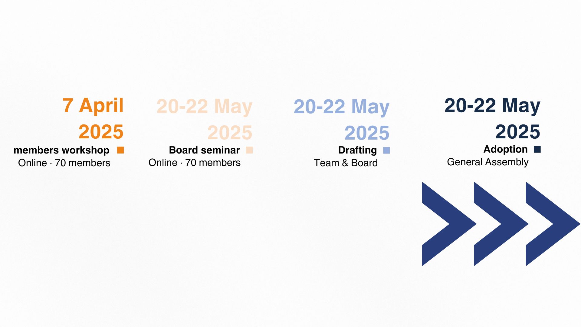 Anima-2025-2027-Strategy-making-process
