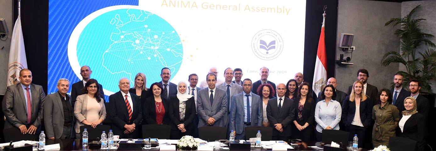 ANIMA General Assembly Cairo