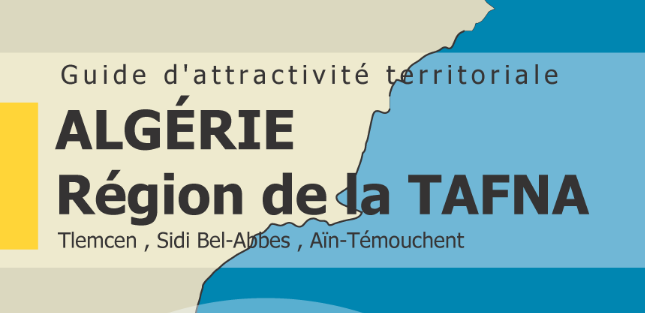 Cover Territorial attractiveness Guide Invest in Med