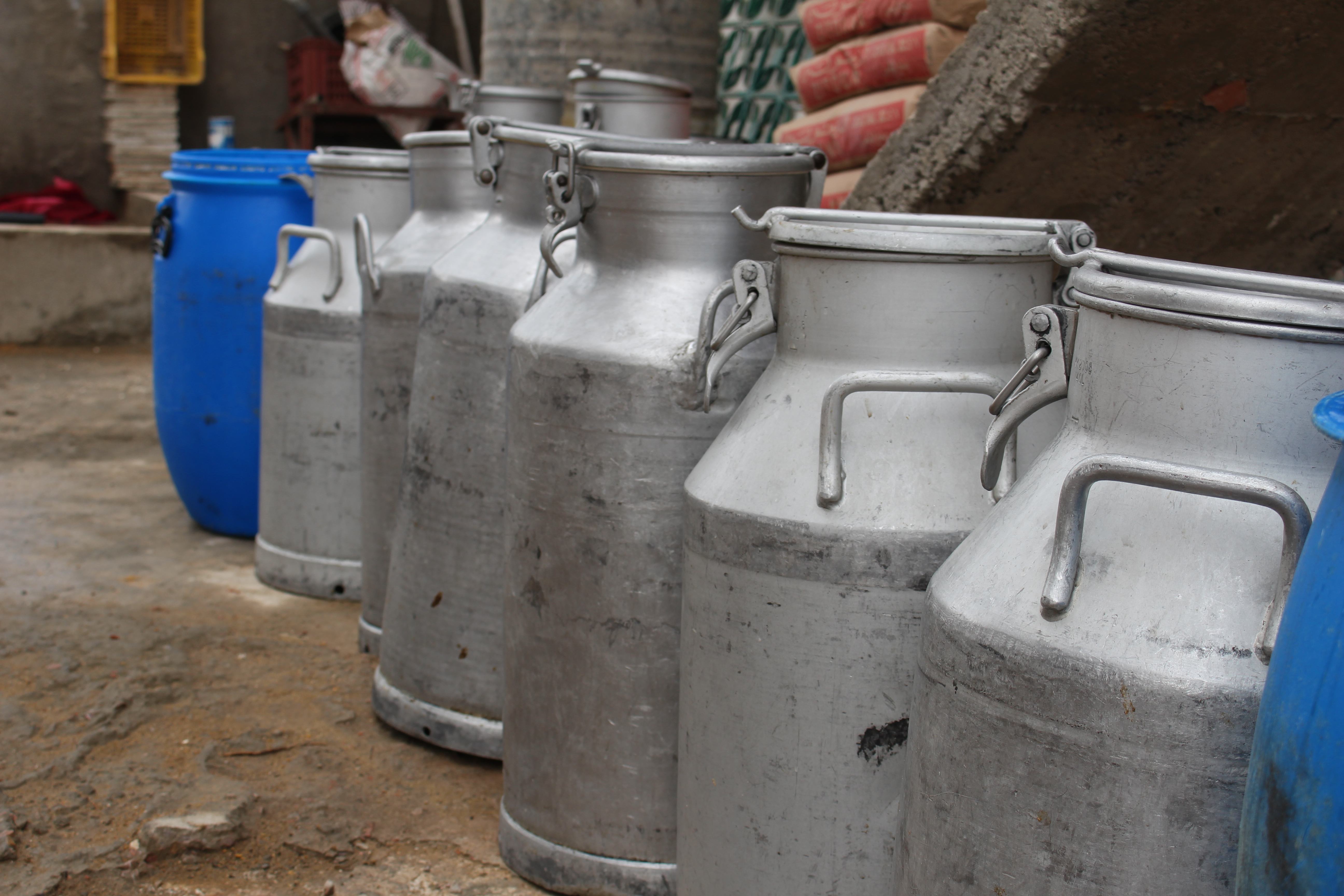 Metal barrels containing some milk 