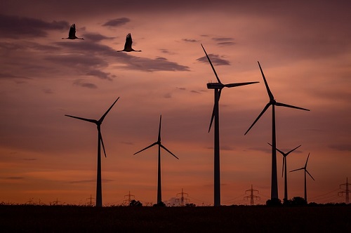 wind park at sunset with flying birds - copyright markogrothe pixabay